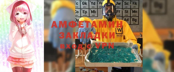 ГАЛЛЮЦИНОГЕННЫЕ ГРИБЫ Корсаков