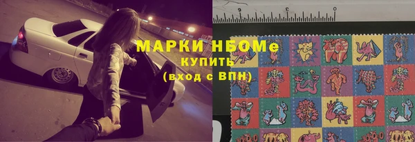 шишки Коряжма