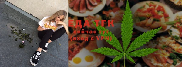 шишки Коряжма