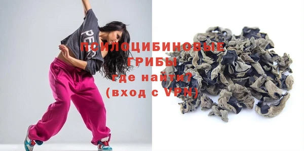 соль ск Костерёво