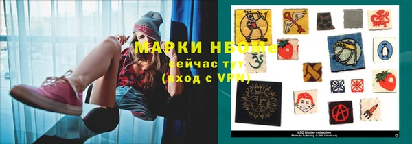 ГАЛЛЮЦИНОГЕННЫЕ ГРИБЫ Корсаков