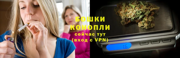 шишки Коряжма