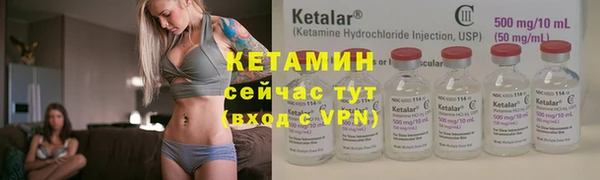 шишки Коряжма