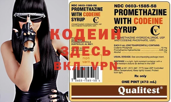 ГАЛЛЮЦИНОГЕННЫЕ ГРИБЫ Корсаков