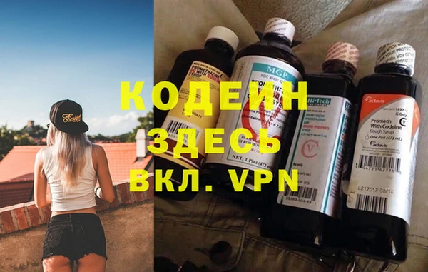 ГАЛЛЮЦИНОГЕННЫЕ ГРИБЫ Корсаков