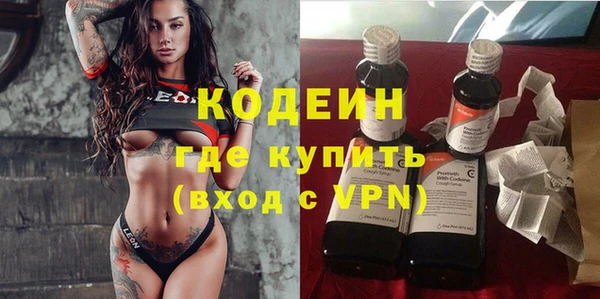 шишки Коряжма