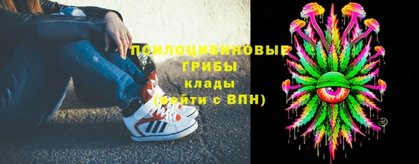 шишки Коряжма