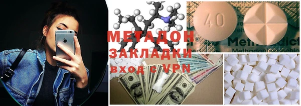 ГАЛЛЮЦИНОГЕННЫЕ ГРИБЫ Корсаков
