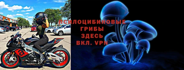 шишки Коряжма