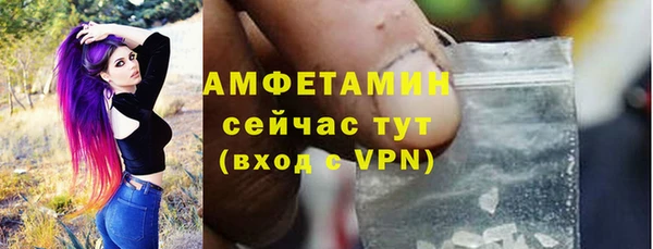 ГАЛЛЮЦИНОГЕННЫЕ ГРИБЫ Корсаков