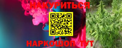 a pvp Новодвинск