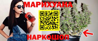 гашик Новокубанск