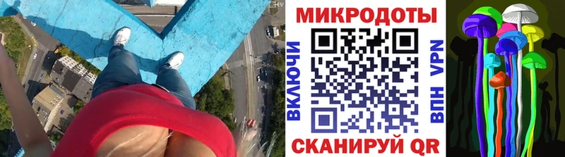 мориарти клад  ссылка на мегу зеркало  Светлоград  Псилоцибиновые грибы Psilocybine cubensis 