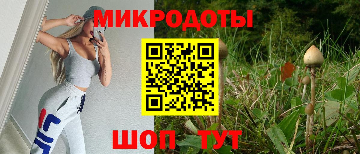 Галлюциногенные грибы Psilocybe Светлоград