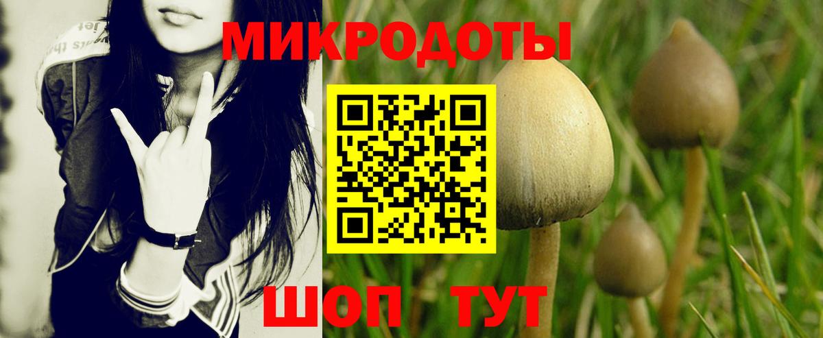 Псилоцибиновые грибы Psilocybe  Псилоцибиновые грибы Cubensis  Вход с VPN  Светлоград 