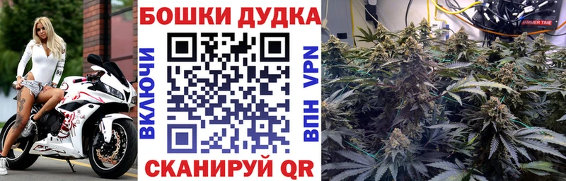 Бошки Шишки THC 21%  Светлоград 